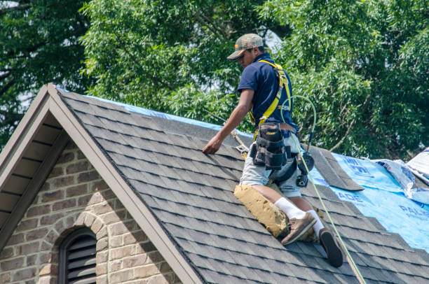 Quick and Trustworthy Emergency Roof Repair Services in Zellwood, FL